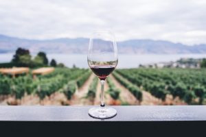 Wine pleasure