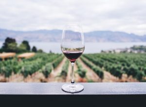 Wine pleasure