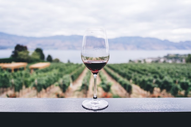 Wine pleasure